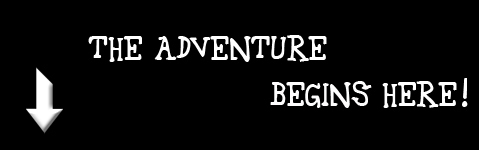 The Adventure Starts Here!